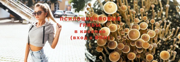 прущая мука Абдулино
