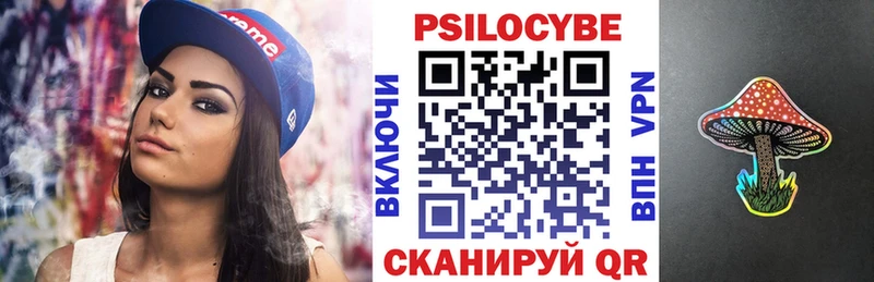 купить наркоту  Починок  Псилоцибиновые грибы Psilocybe 